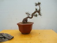 psb 003.jpg