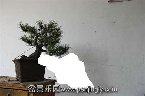 113603qghtlzk146kz1kh0.jpg.thumb.jpg