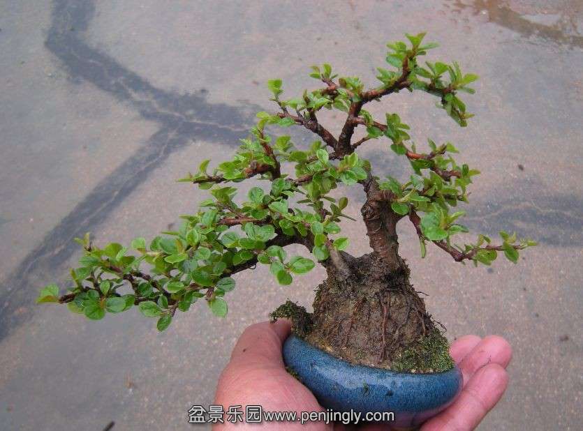 QQͼƬ20140412080811.jpg