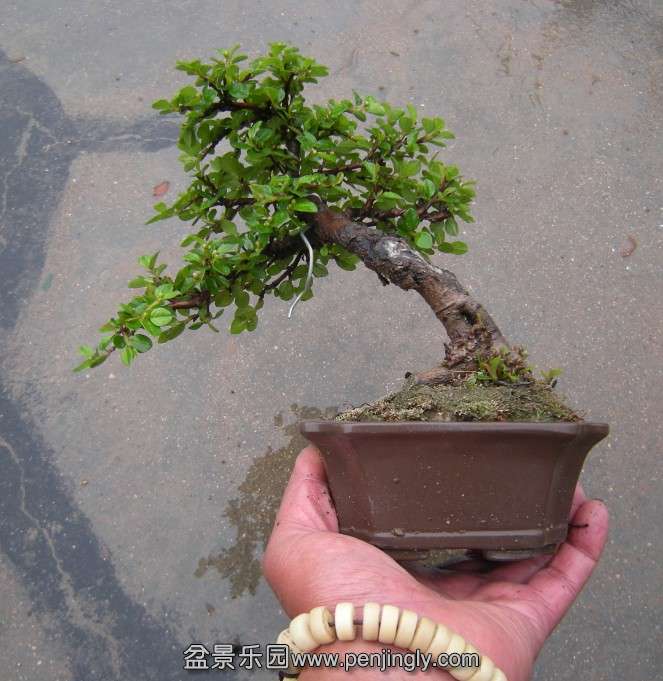 QQͼƬ20140412080905.jpg