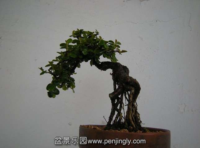 QQͼƬ20140412213028.jpg