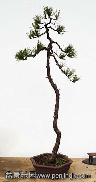 20140301_151708.jpg