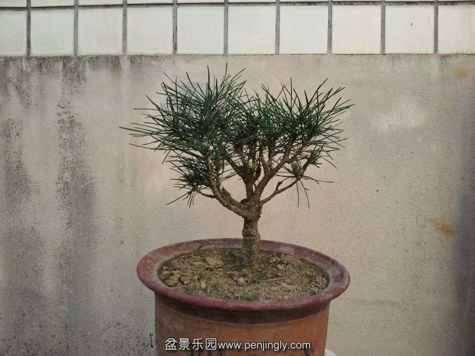 5BE76507211679E9B19421A4F3D8DA9E.jpg