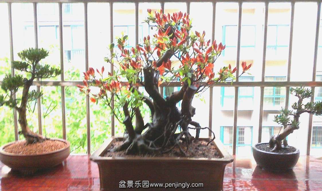 IMG0415161400.jpg