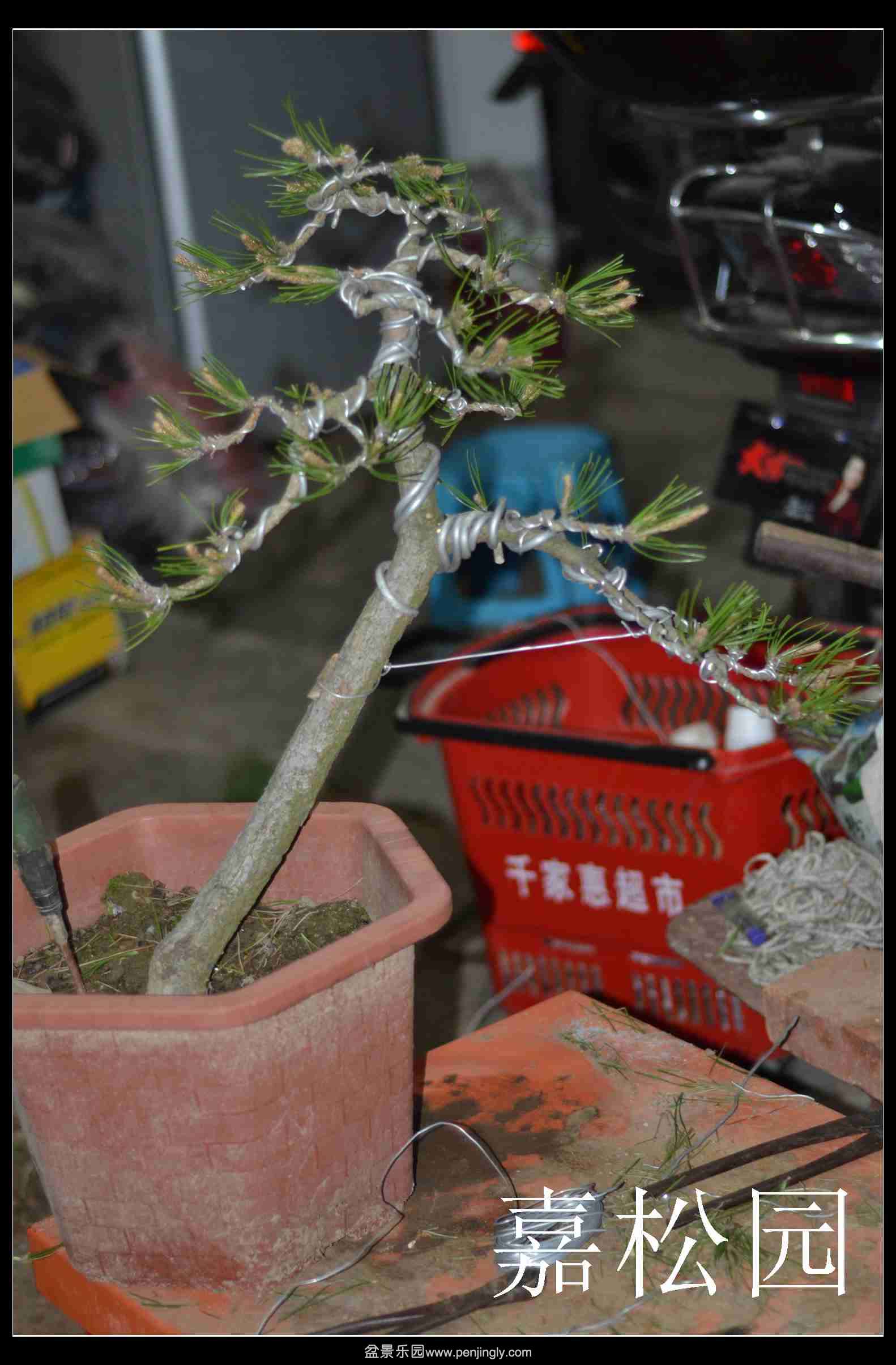 2014-04-15 009.jpg