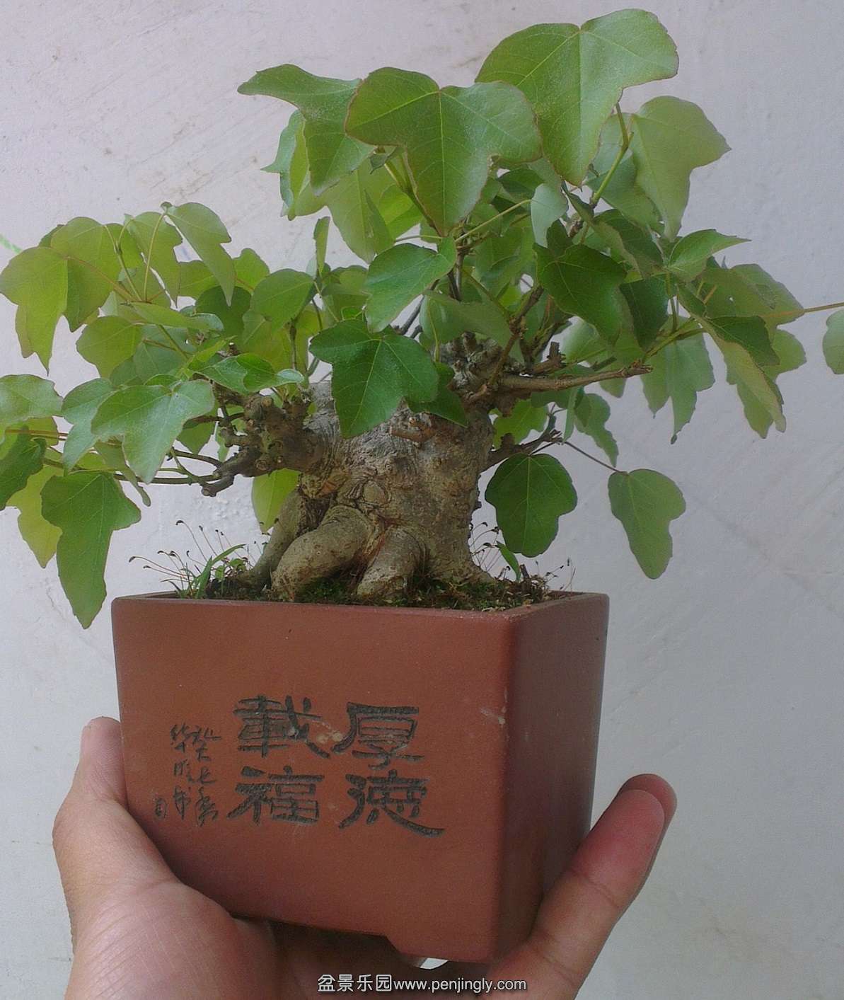 IMAG0287_2345ͼ.jpg