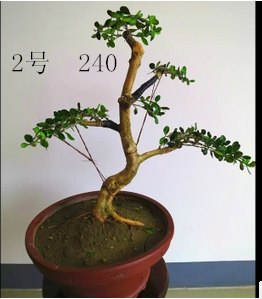 2_副本.png
