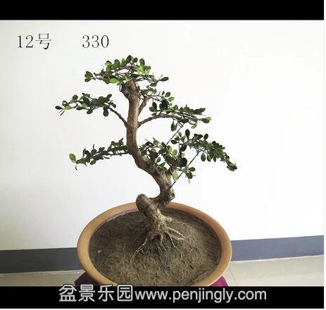 12_副本.png