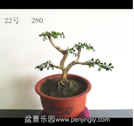 22_副本.png