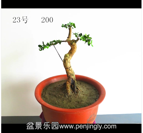 23_副本.png