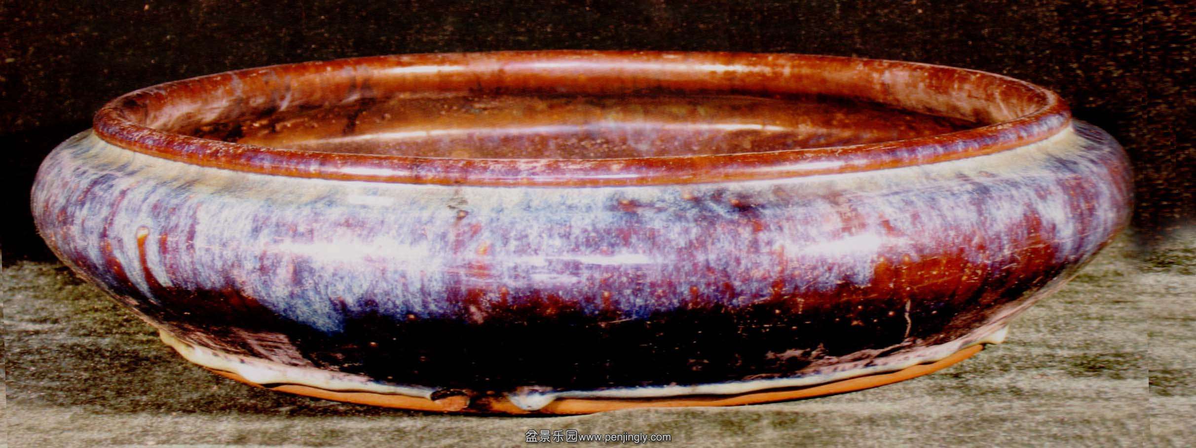 ڷԲ.jpg