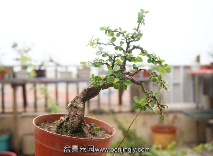 QQͼƬ20140418092208.jpg