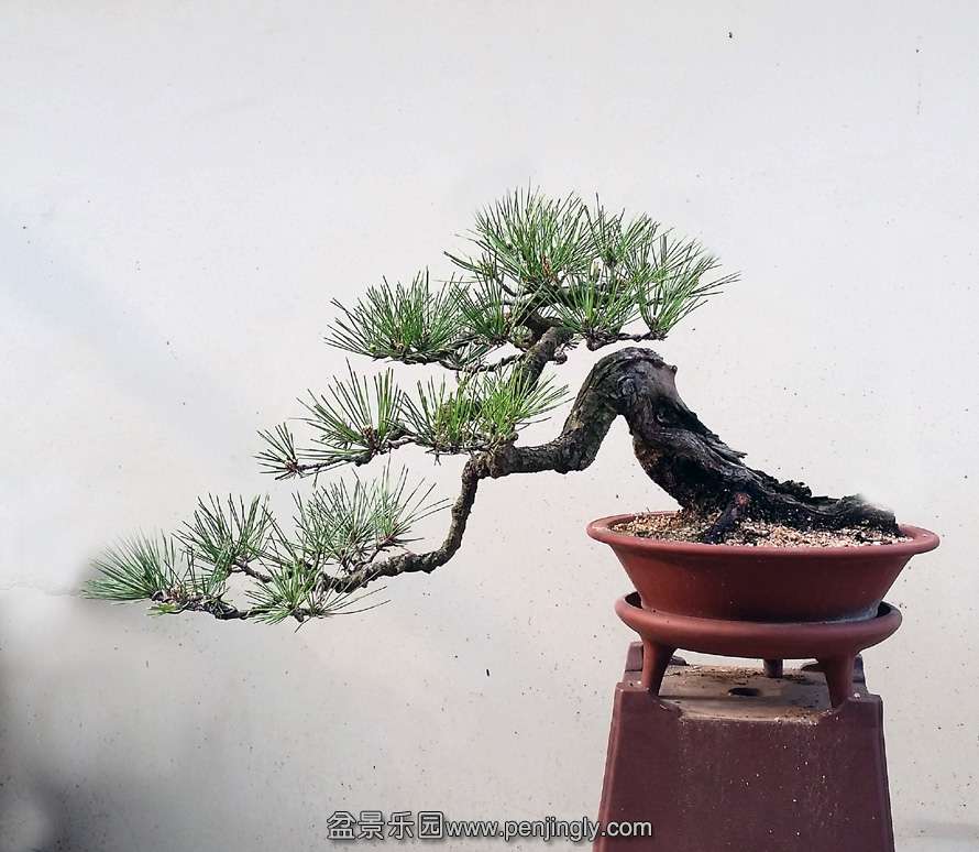 20140418_073215 .jpg