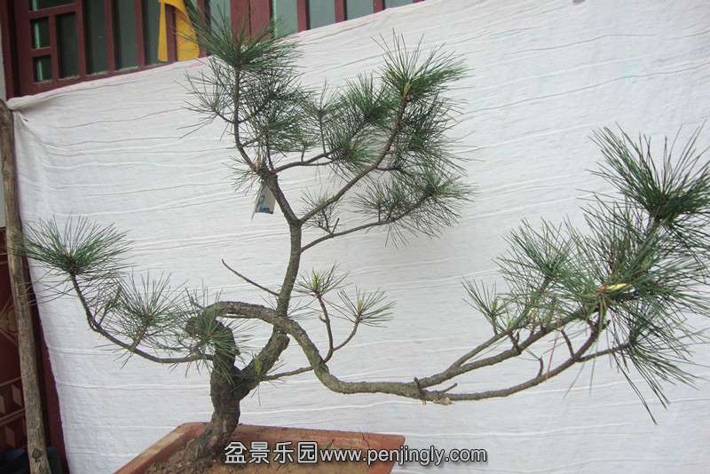 DSC02289_副本.jpg