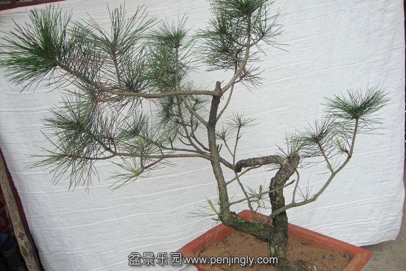 DSC02290_副本.jpg