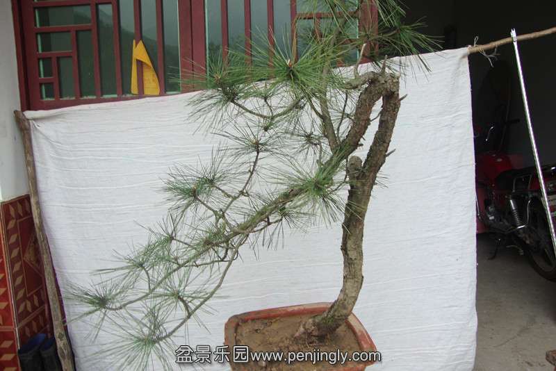 DSC02291_副本.jpg