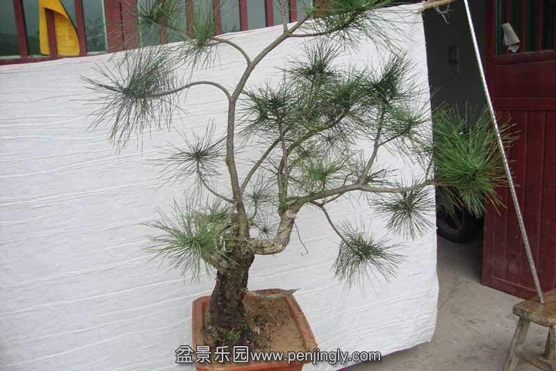 DSC02292_副本.jpg