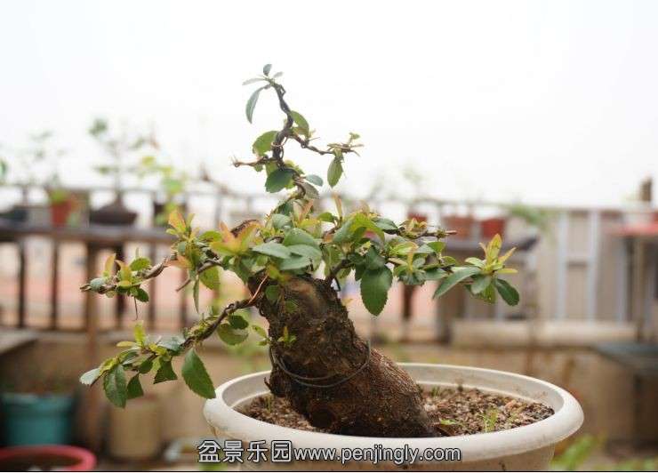 QQͼƬ20140419131934.jpg