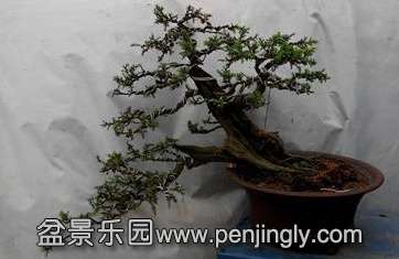 IMG_20140419_161232_2345ͼ.jpg