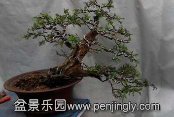 IMG_20140419_161315_2345ͼ.jpg