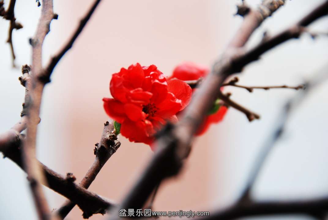 DSC_0362.jpg
