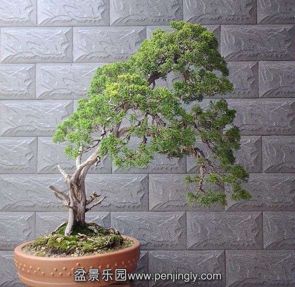 20140420_140446.jpg