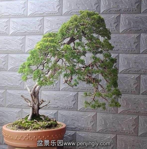 20140420_140459.jpg