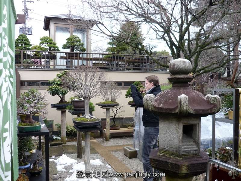 seikoen_in_omiya_bonsai_village_20111228_1519042579.jpg