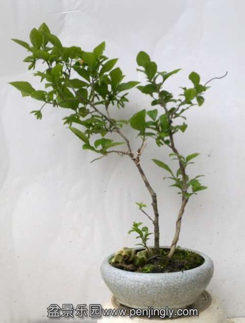 201404202489.jpg