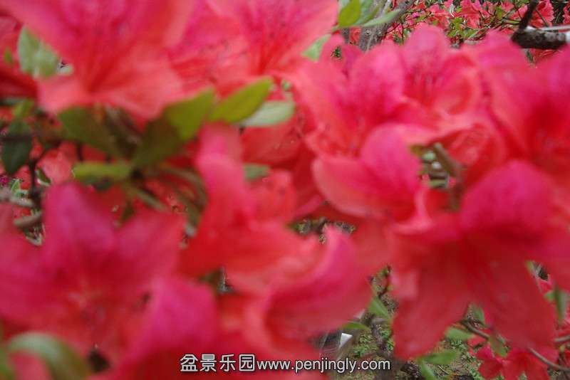 DSC02286_.jpg