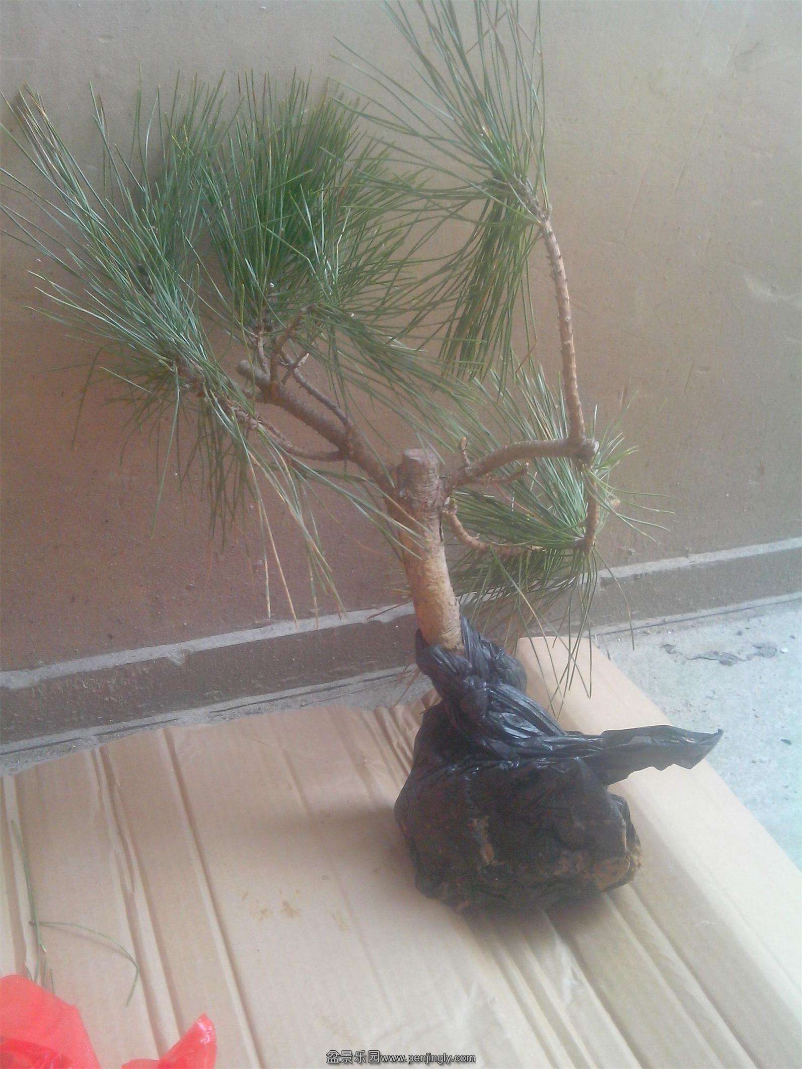 IMG20140423001.jpg