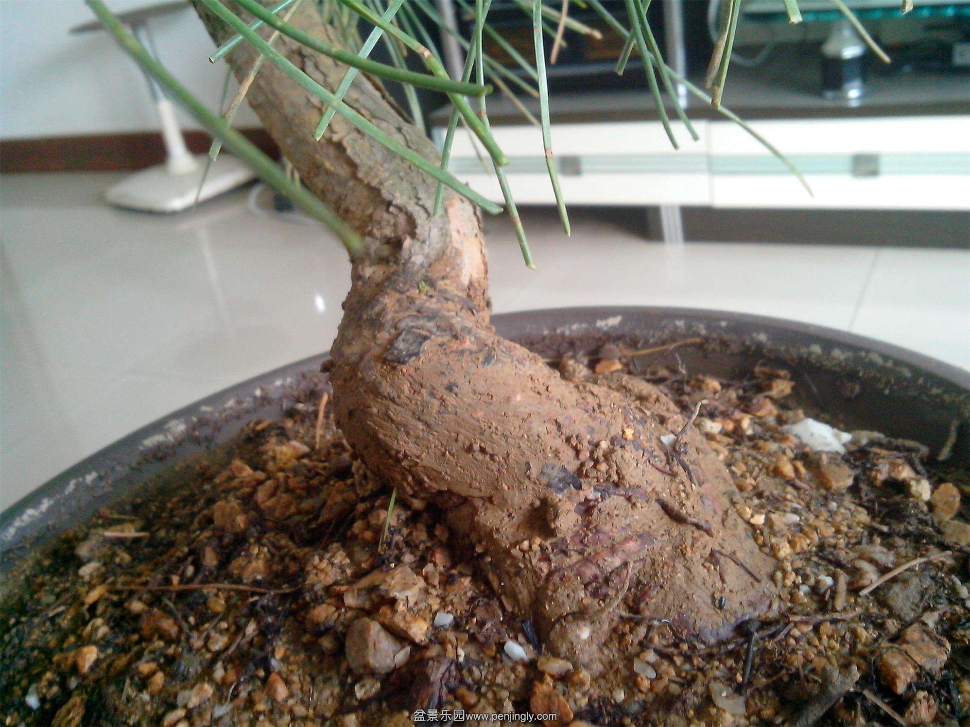 IMG20140423012.jpg