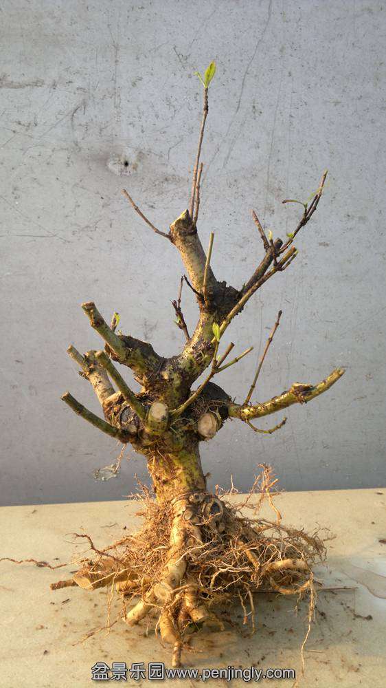 2014-04-22-476.jpg