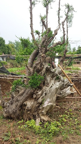 20140420_150039.jpg