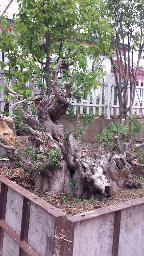 20140420_174609.jpg