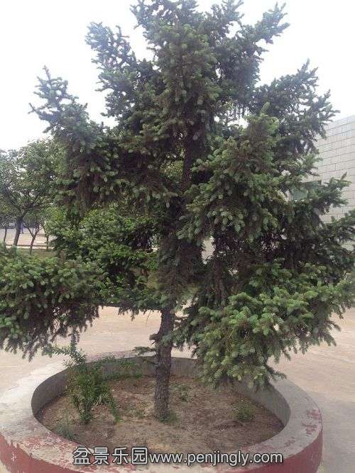 QQͼƬ20140423214708.jpg