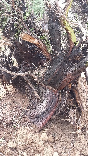 20140402_113117.jpg