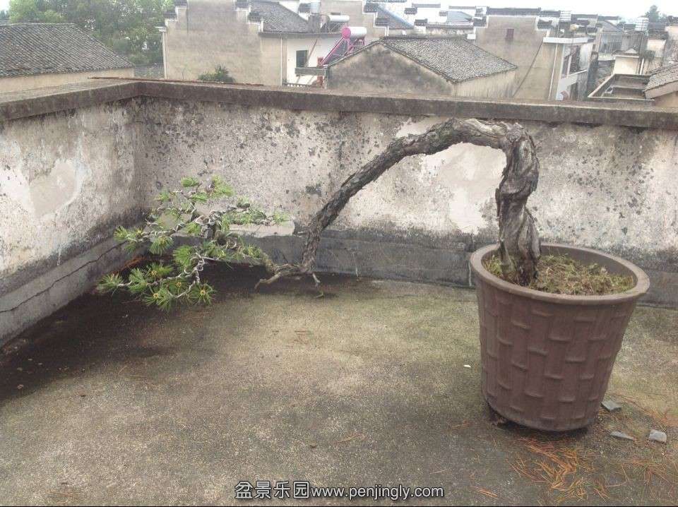 QQͼƬ20140424174430.jpg