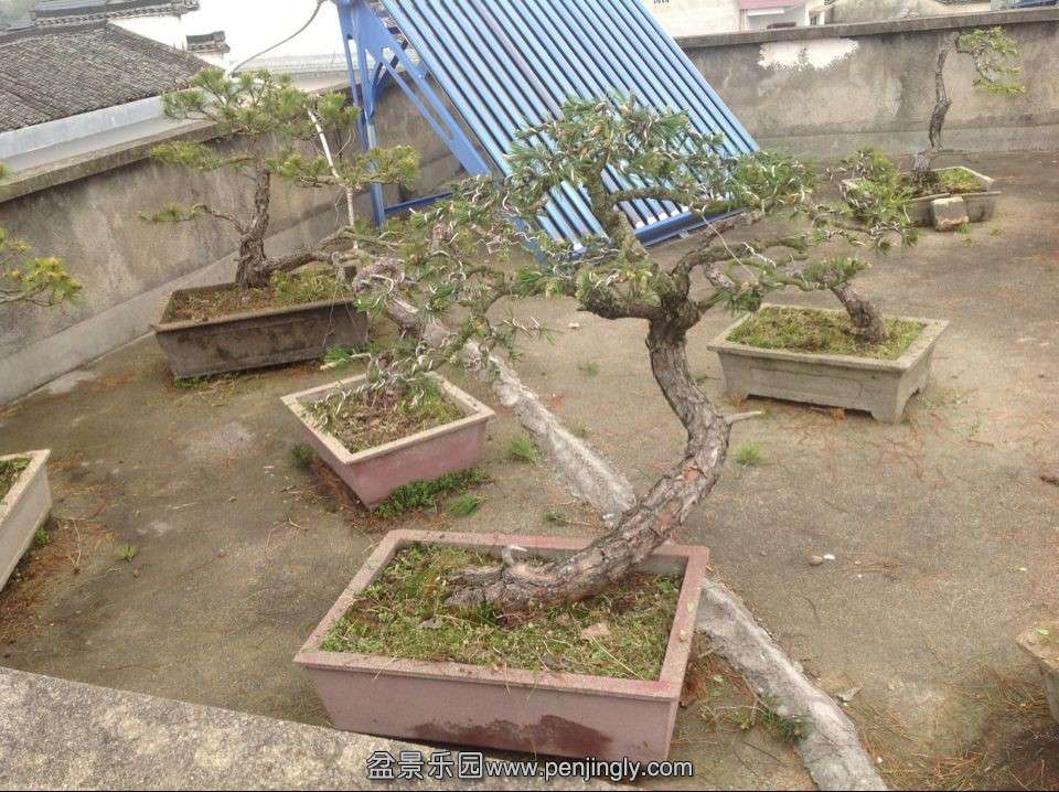 QQͼƬ20140424174438.jpg
