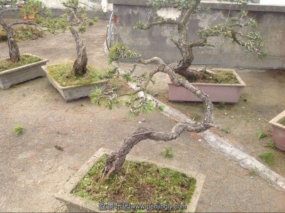 QQͼƬ20140424174440.jpg
