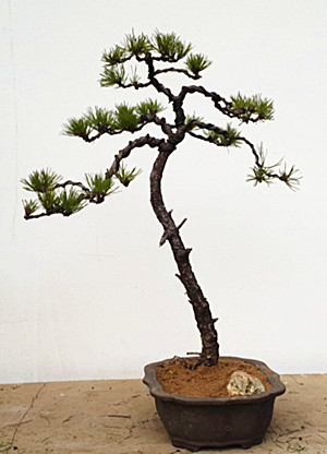 20140307_153241.jpg