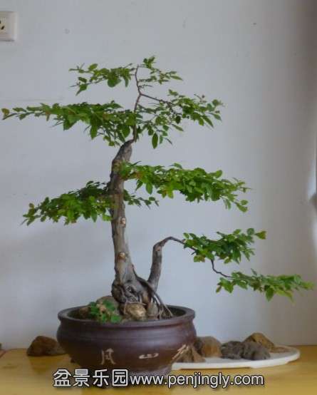 QQͼƬ20140426104639.jpg