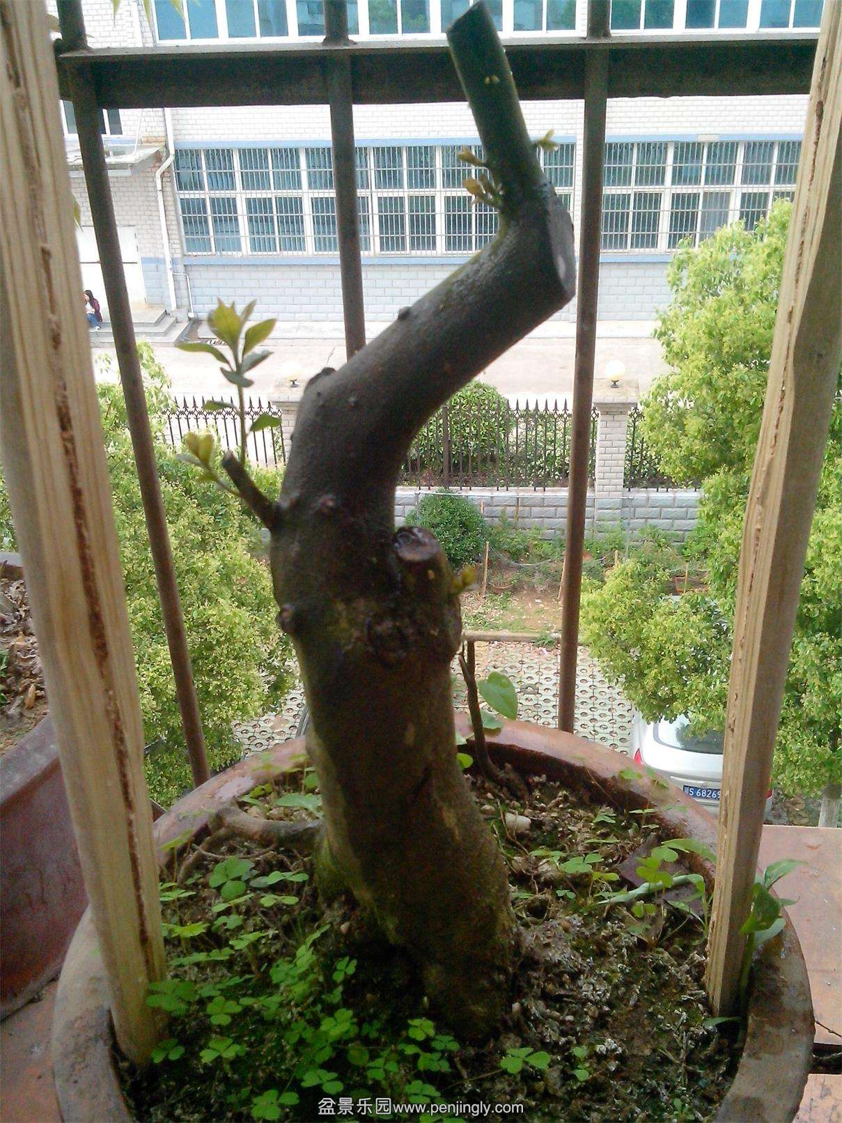 IMG20140426003.jpg