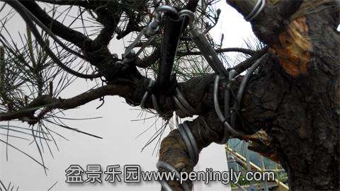 IMG_20140426_090359.jpg