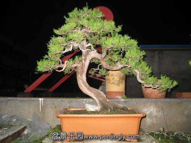 IMG_5741.JPG