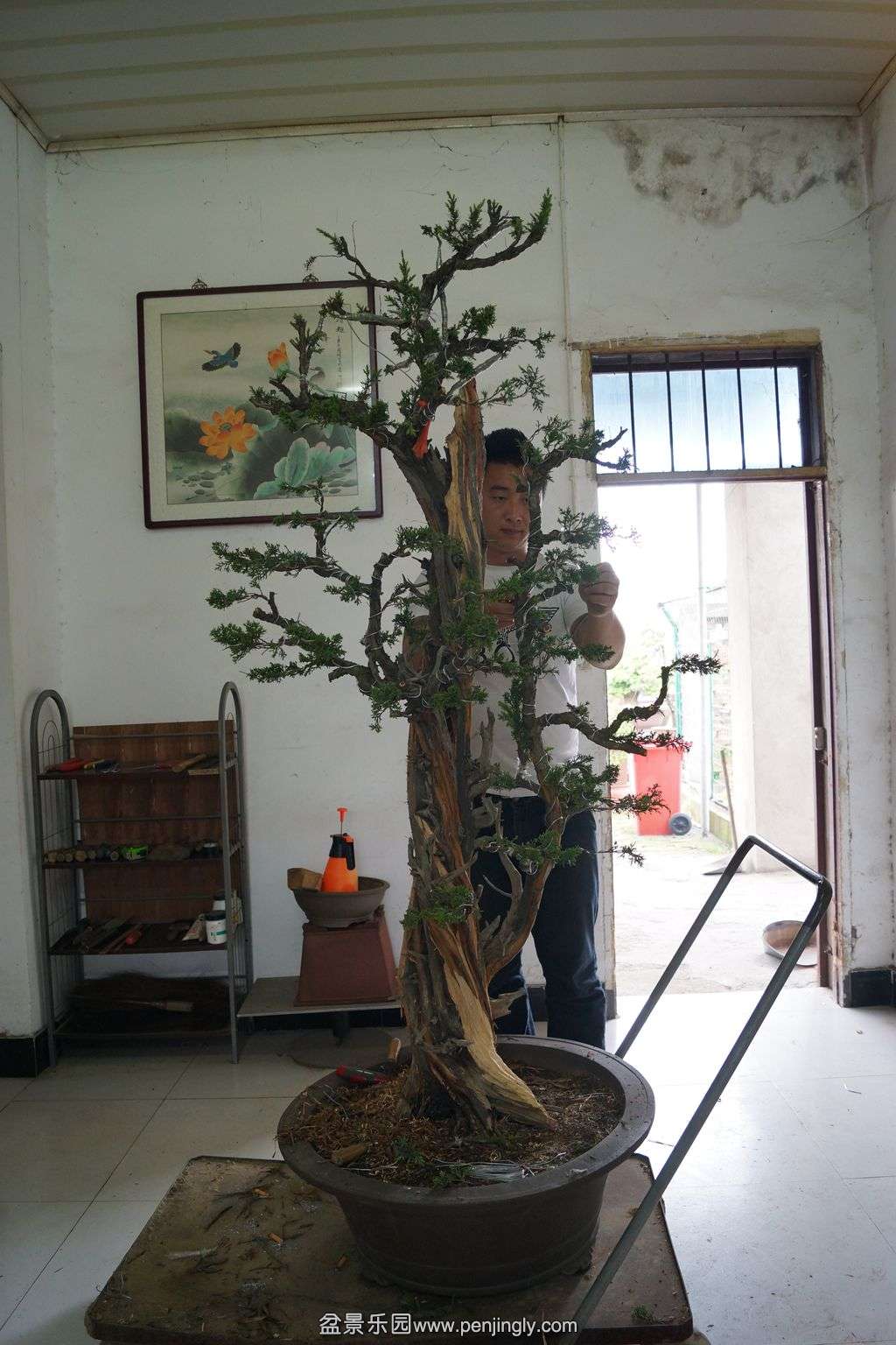 171.jpg