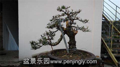 IMG_20140427_180022.jpg
