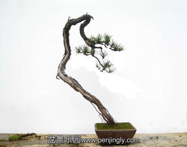 200502ajbnnp5nwbw9wjwt.jpg.thumb.jpg