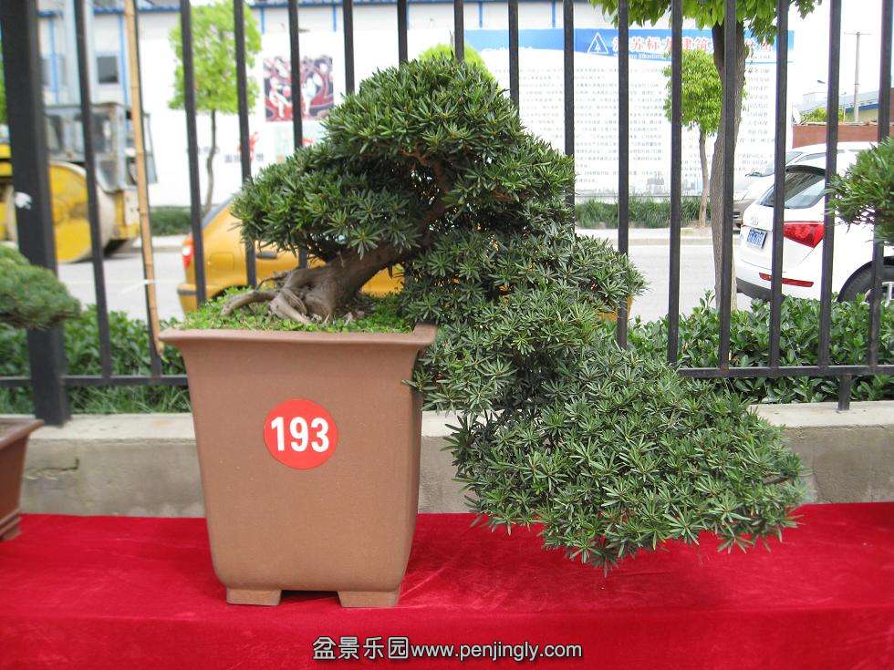 Ƭ 16717.jpg