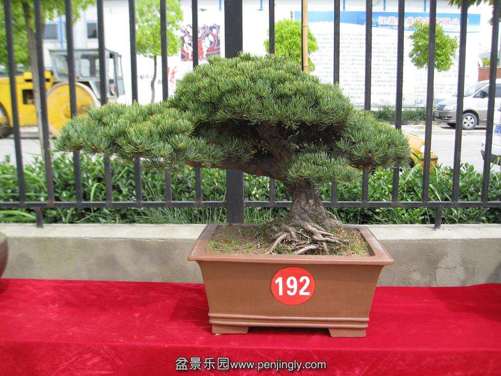 Ƭ 16718.jpg